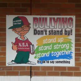 Anti-Bullying Signs